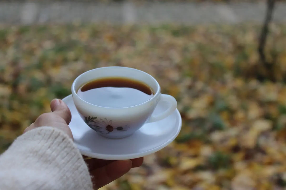 Seasonal Tea Delivery Calendar: What to Order Each Month